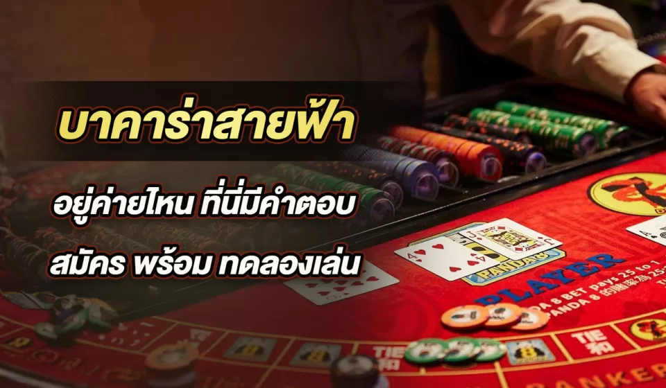 วิธีเล่นบาคาร่า